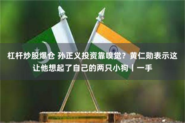 杠杆炒股爆仓 孙正义投资靠嗅觉?黄仁勋表示这让他想起了自己的两只小狗丨一手