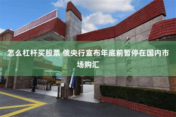 怎么杠杆买股票 俄央行宣布年底前暂停在国内市场购汇