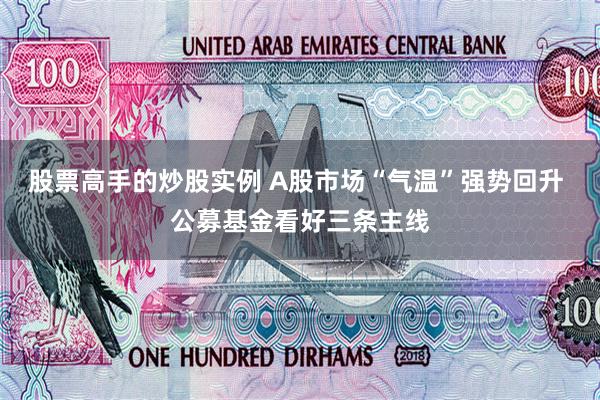 股票高手的炒股实例 A股市场“气温”强势回升 公募基金看好三条主线