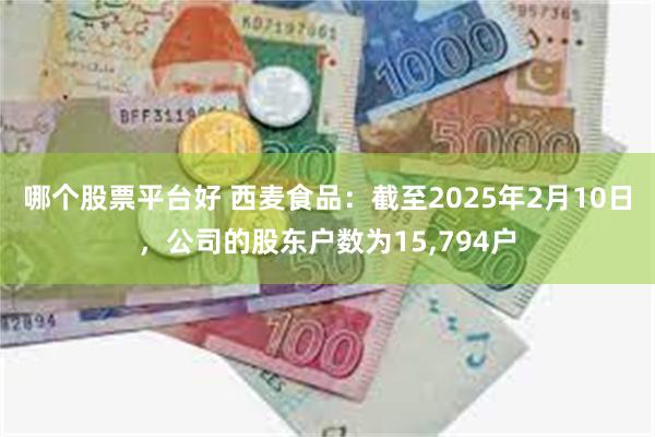 哪个股票平台好 西麦食品：截至2025年2月10日，公司的股东户数为15,794户