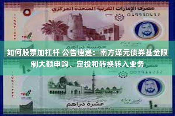 如何股票加杠杆 公告速递：南方泽元债券基金限制大额申购、定投和转换转入业务