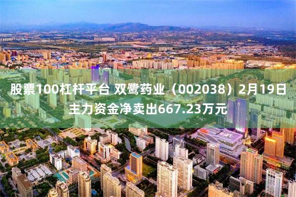 股票100杠杆平台 双鹭药业（002038）2月19日主力资金净卖出667.23万元
