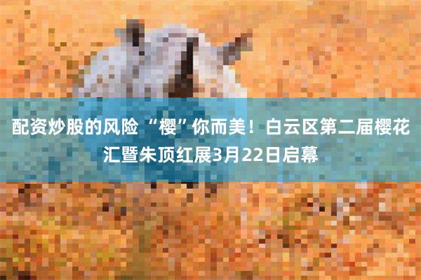 配资炒股的风险 “樱”你而美！白云区第二届樱花汇暨朱顶红展3月22日启幕