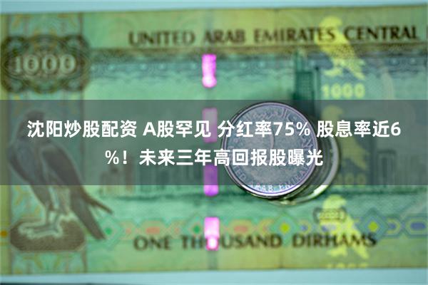沈阳炒股配资 A股罕见 分红率75% 股息率近6%！未来三年高回报股曝光