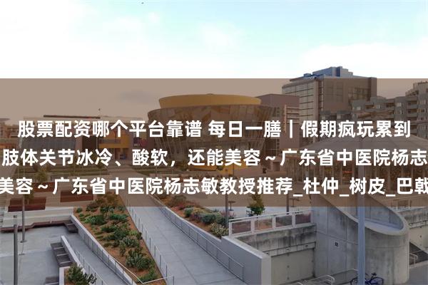 股票配资哪个平台靠谱 每日一膳｜假期疯玩累到了！这碗汤缓解腰膝、肢体关节冰冷、酸软，还能美容～广东省中医院杨志敏教授推荐_杜仲_树皮_巴戟