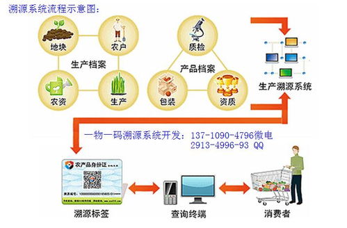 構(gòu)建有機蔬菜二維碼防偽溯源體系 信息系統(tǒng)集成服務(wù)的實踐路徑