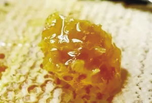 寧陜山珍 縣域公共品牌亮相古城西安，引領初級農產品新風尚