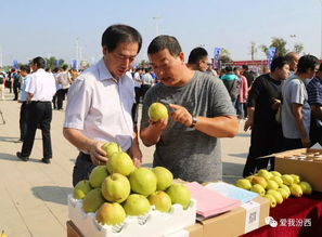 中國汾西第二屆核桃節暨消費扶貧農產品展銷會盛大開幕，助力初級農產品產業發展